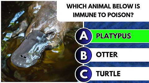 🌍General Knowledge QUIZ [ANIMALS] - Can You ANSWER 4 Questions?!