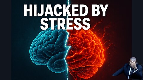 The Neuroscience of Decision Making Under Pressure