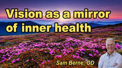 Vision as a mirror of inner health