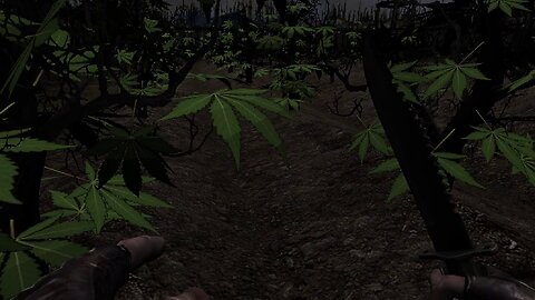 I Just Couldn't Stay Away... | KF1 n' Ramblin'