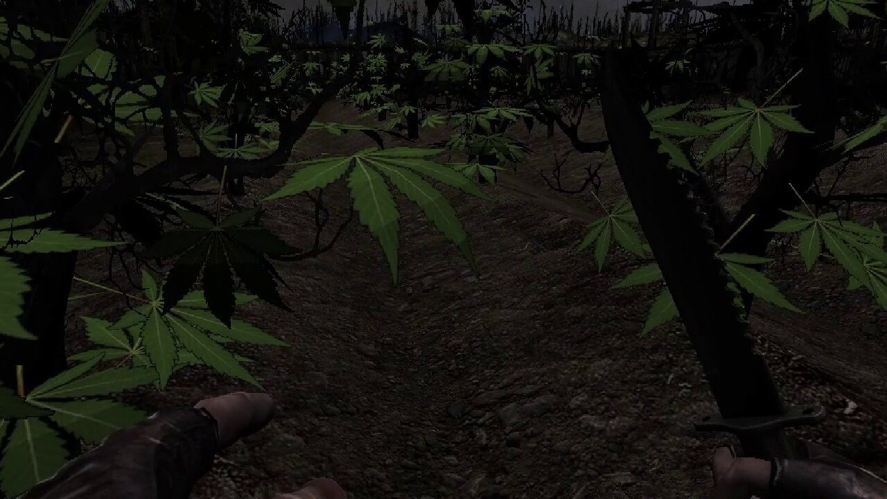 I Just Couldn't Stay Away... | KF1 n' Ramblin'