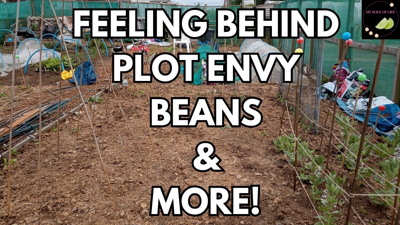 2. Allotment News: Feeling Behind, Plot Envy & Other Gardening Stories!