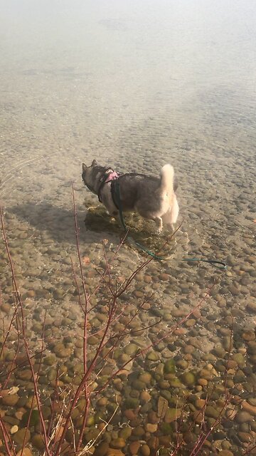 Tuesday April 29, Come to Christ, the living cornerstone of God’s temple.