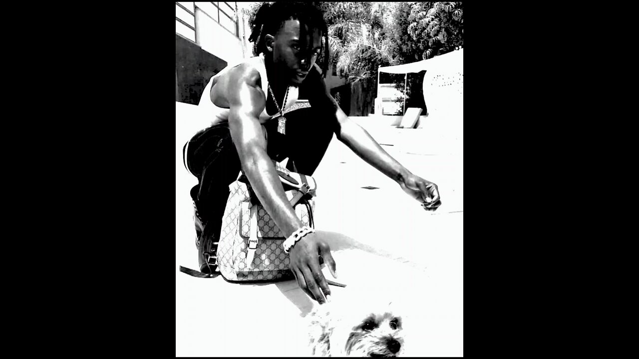 PLAYBOI CARTI - RUDE