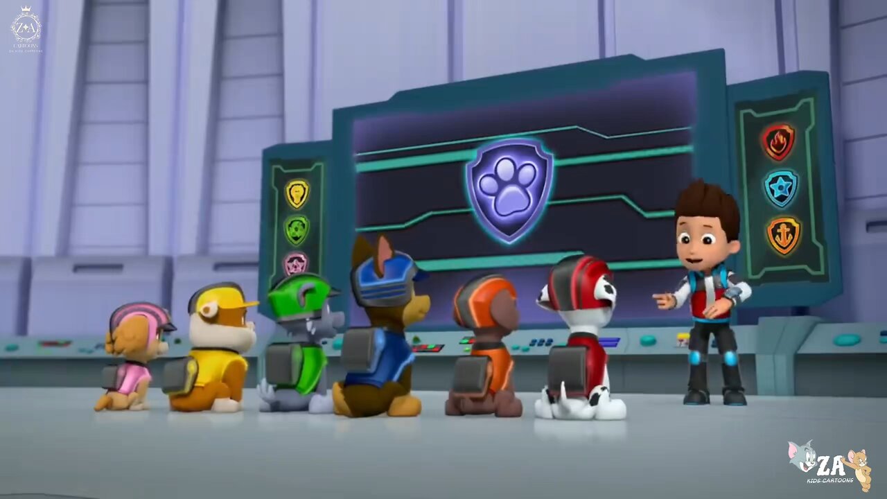 PAW Patrol Cartoons