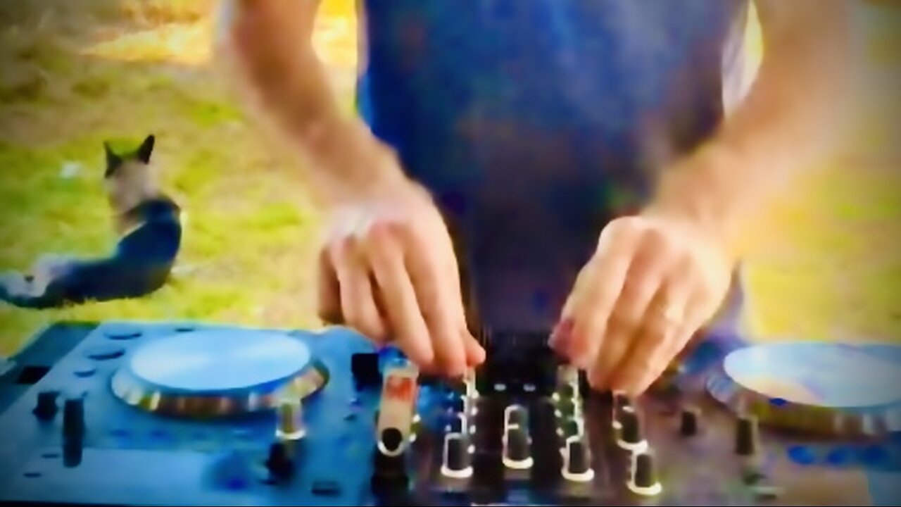 #1 | Funky House Afternoon Session | LiveMix 🎧🔥