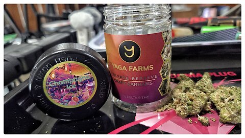 champagne ice strain review 🍾 yaga farms x jk distro