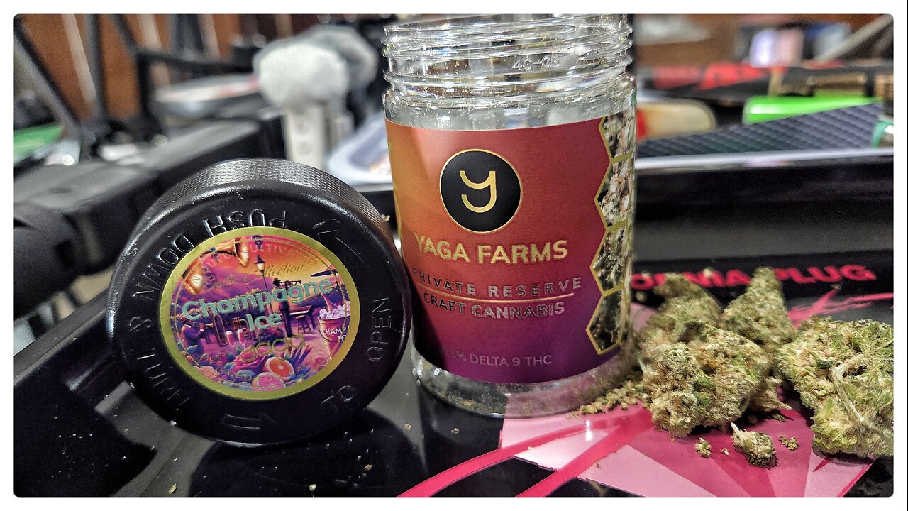 champagne ice strain review 🍾 yaga farms x jk distro