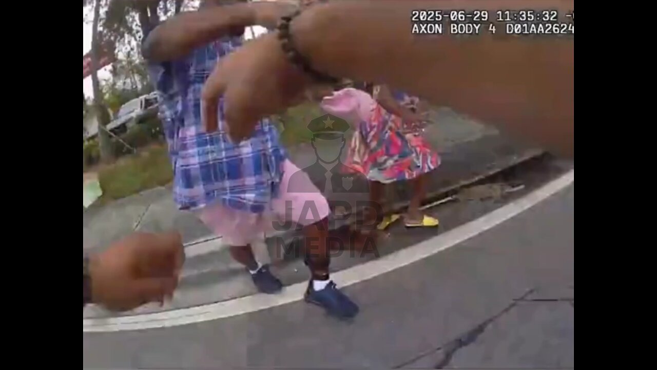 Family Turns Routine Traffic Stop Into Chaotic Scene #roadincident #japd