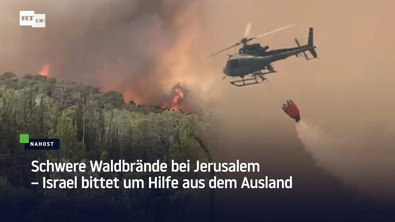 Schwere Waldbrände bei Jerusalem – Israel bittet um Hilfe aus dem Ausland