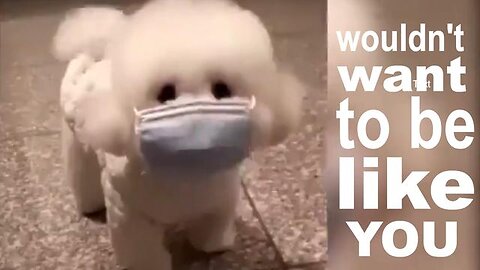 I wouldn't want to be like you