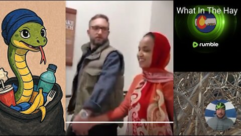 ILHAN OMAR, SOMALIS Talk TRASH, SOMALI FRAUD, ICE RAIDS & CINNABON UPDATE