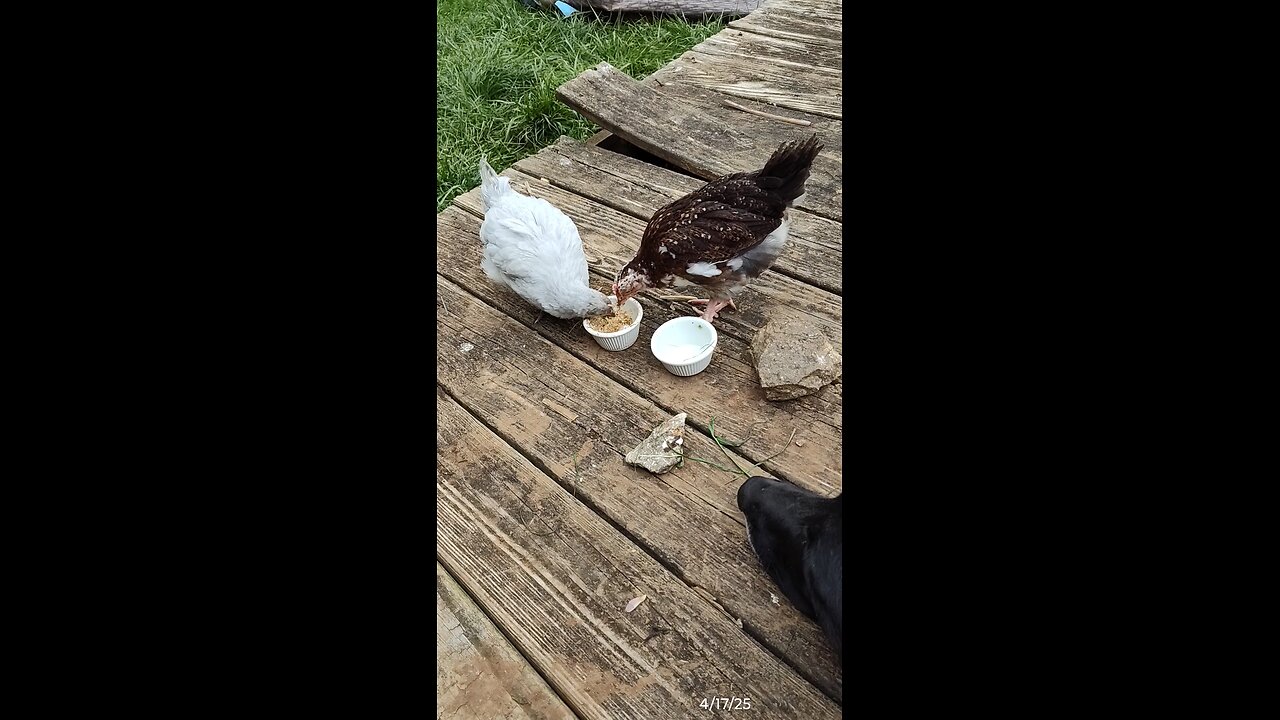 A little snack break