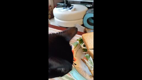 Eating Oscar Meyer Smoked Turkey Breast, Dbn, MI, 7/10/25