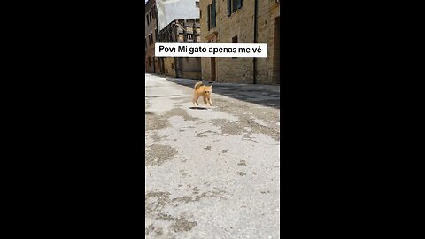 nuestra batalla será legendaria 🤩