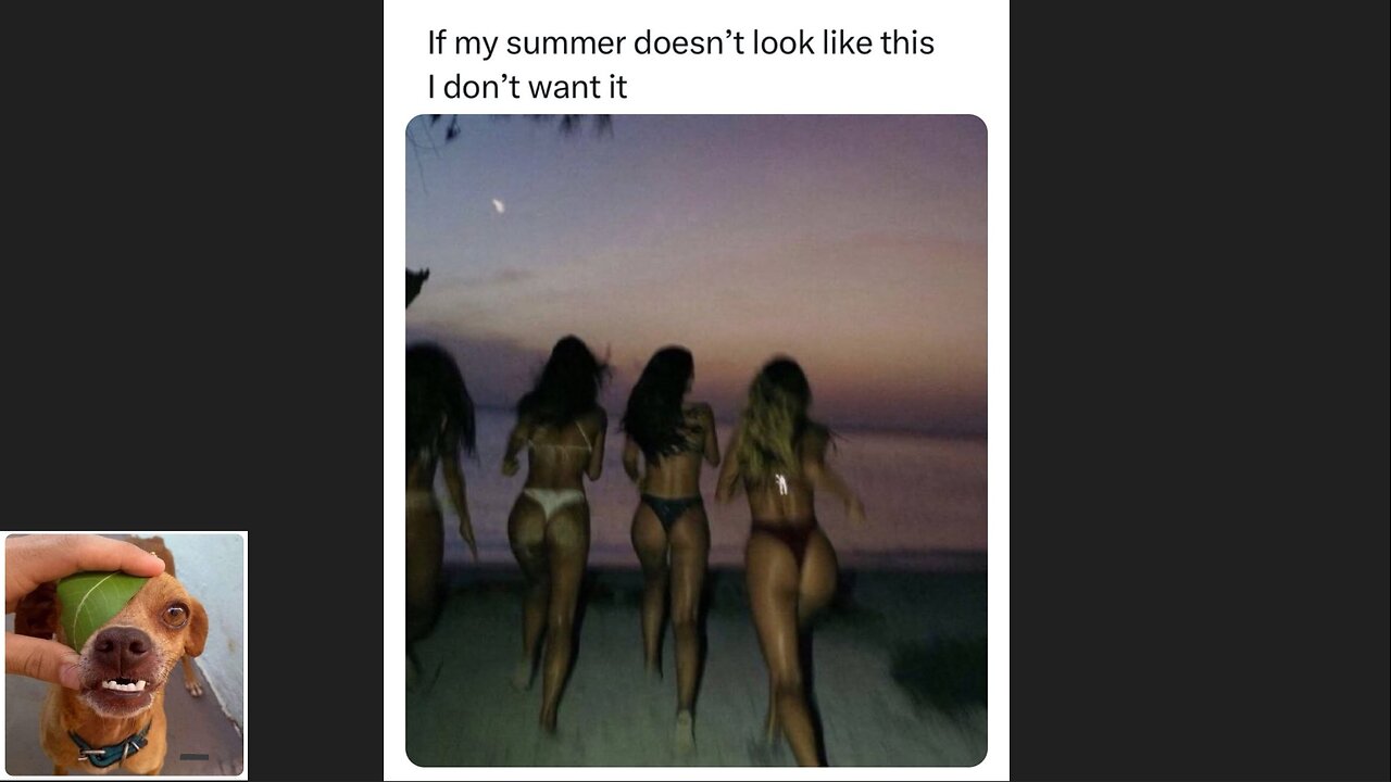 Memes That Will 99.0241% Make You Laugh. (e465)