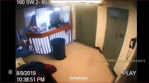 Surveillance footage shows an orange figure walking up the stairs to Epstein’s cell