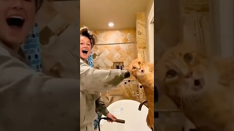 Funny Animals Complication #funny #funnyanimals #pets #shorts