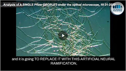 "Understanding Graphene Oxide in COVID-19 Vaccines"
