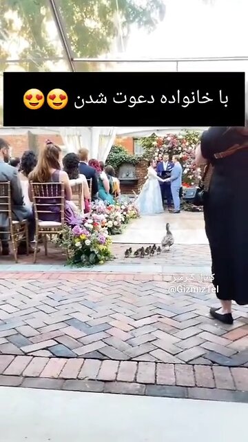 😛😍باخانواده دعوت شدن