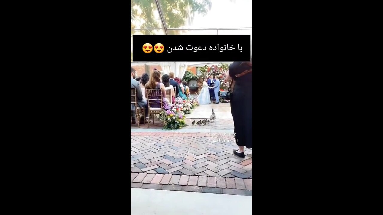 😛😍باخانواده دعوت شدن