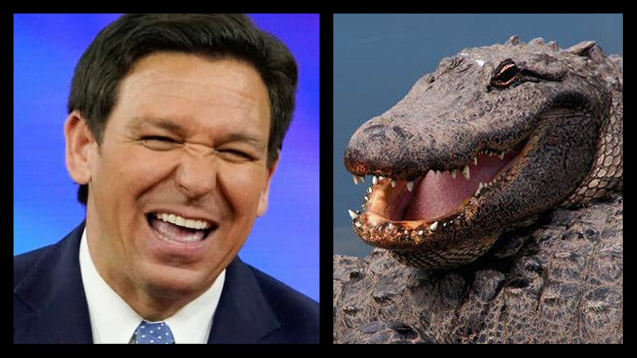 Florida's 'Alligator Alcatraz' To Take In Illegals