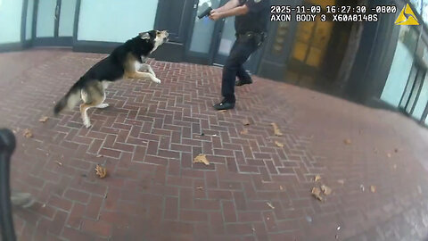 Man and Dog Both Shot by Police During Confrontation