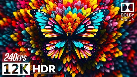 Best of 2025 Dolby Vision 12K HDR 240fps
