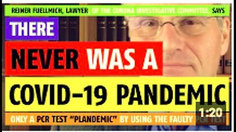 "Lawyer Reiner Fuellmich Asserts No COVID-19 Pandemic, Just a PCR Test 'Plandemic'"