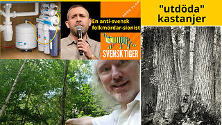 Parti-anpassad fredspropaganda. PsyOp CBDC. Chabad. Bakvänd osmos-filter. Kastanjsjuka. Aron👺Flam