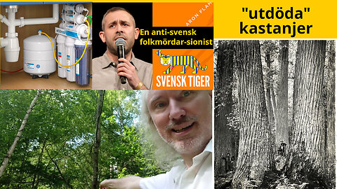 Parti-anpassad fredspropaganda. PsyOp CBDC. Chabad. Bakvänd osmos-filter. Kastanjsjuka. Aron👺Flam