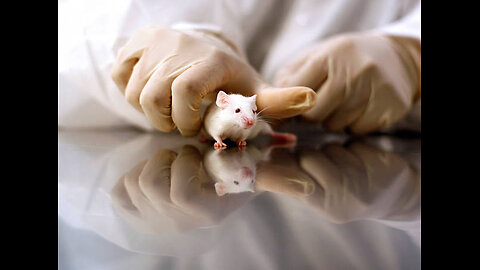 The use of animals in medical research is a necessary evil
