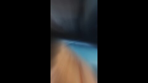 Cat fighter