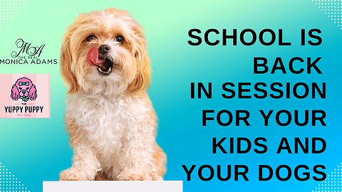 School's Back in session not just for your kids, your furry little ones too