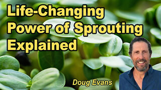 How Sprouting Changed My Life and How it Can Change Yours