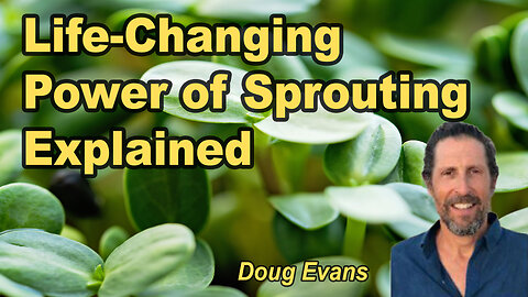 How Sprouting Changed My Life and How it Can Change Yours