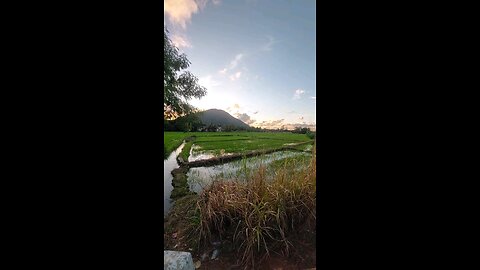 Wow, Beautiful Sunset 😍 | Golden Hour Nature Magic