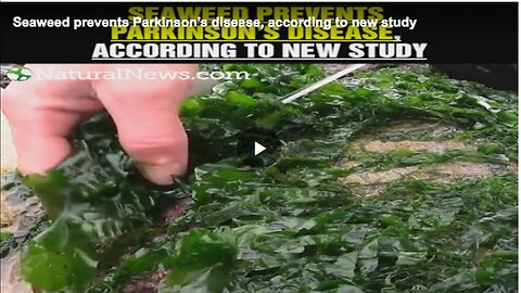 "Seaweed's Role in Preventing Parkinson’s Disease"