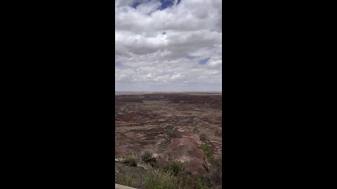 Petrified Forest