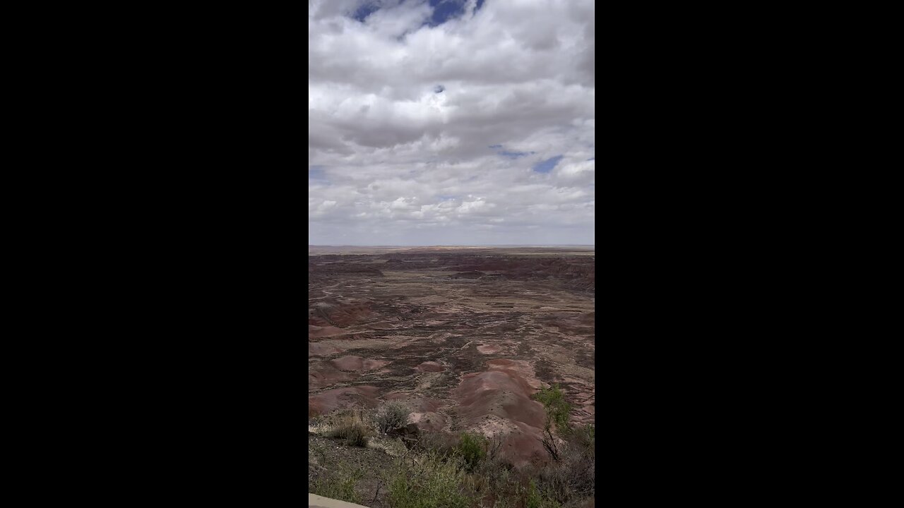 Petrified Forest