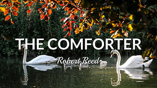 Robert Reed - The Comforter