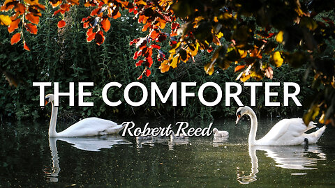 Robert Reed - The Comforter