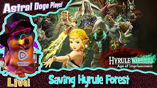 Hyrule Warriors: Age of Imprisonment ~LIVE!~ Saving Hyrule Forest