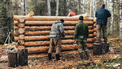 Build Your OFF GRID CABIN with Simple Hand Tools