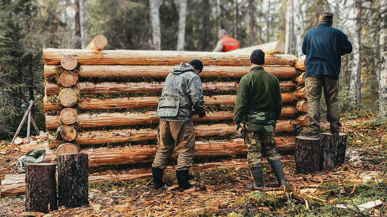 Build Your OFF GRID CABIN with Simple Hand Tools