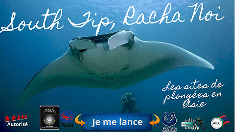 🐠 Racha Noi South Tip, Phuket, Le Royaume des Raies Manta
