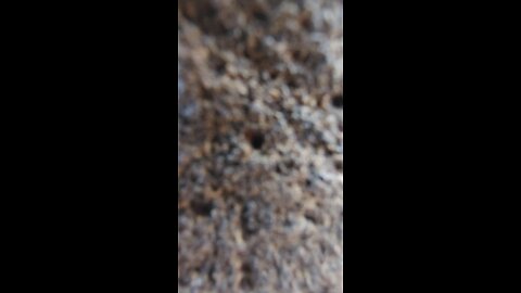 diez mandamientos en Los Luna's Nuevo Mexico. ponlo en reversal!