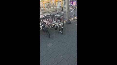 random road view(ft korea)