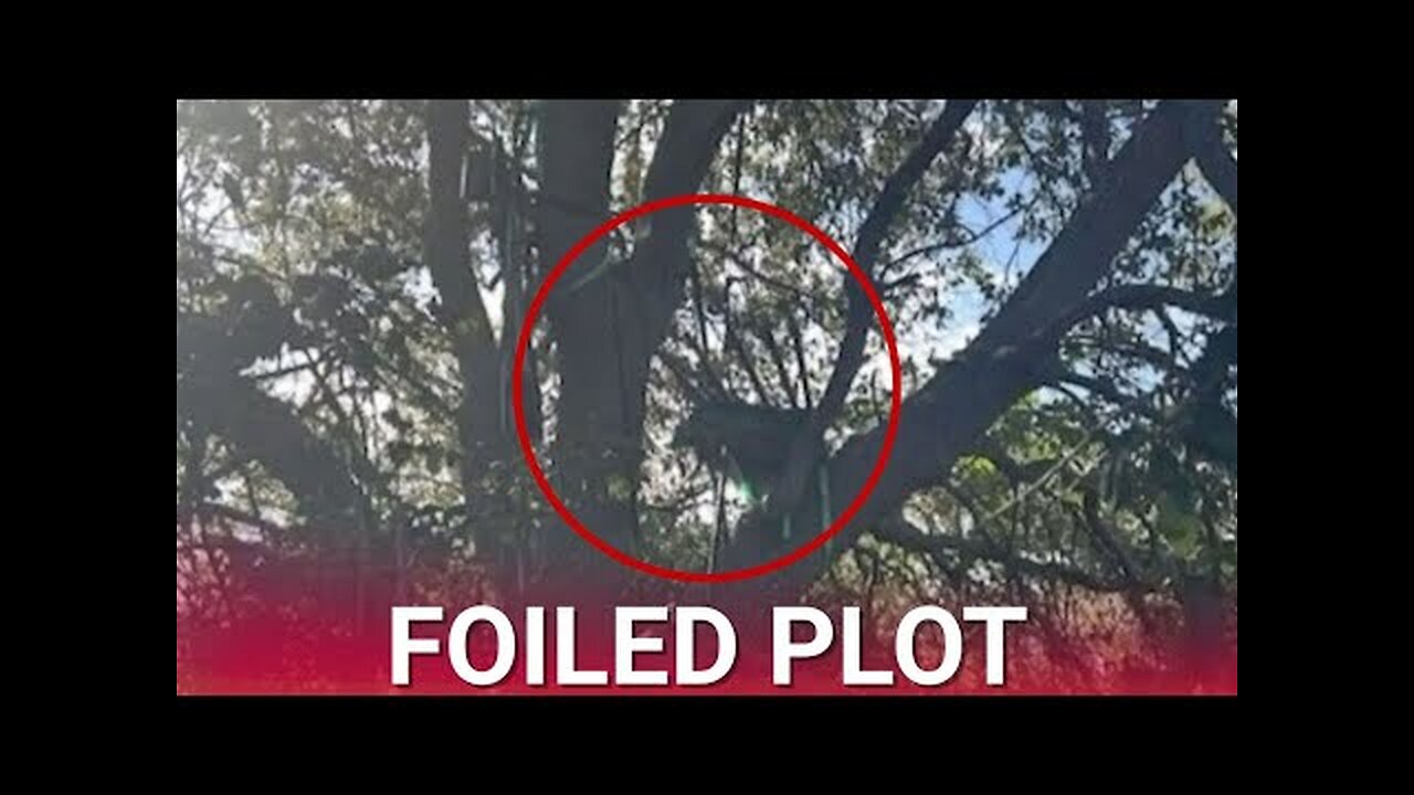 Secret Service foil another possible sniper attack on Donald Trump near Palm Beach airport