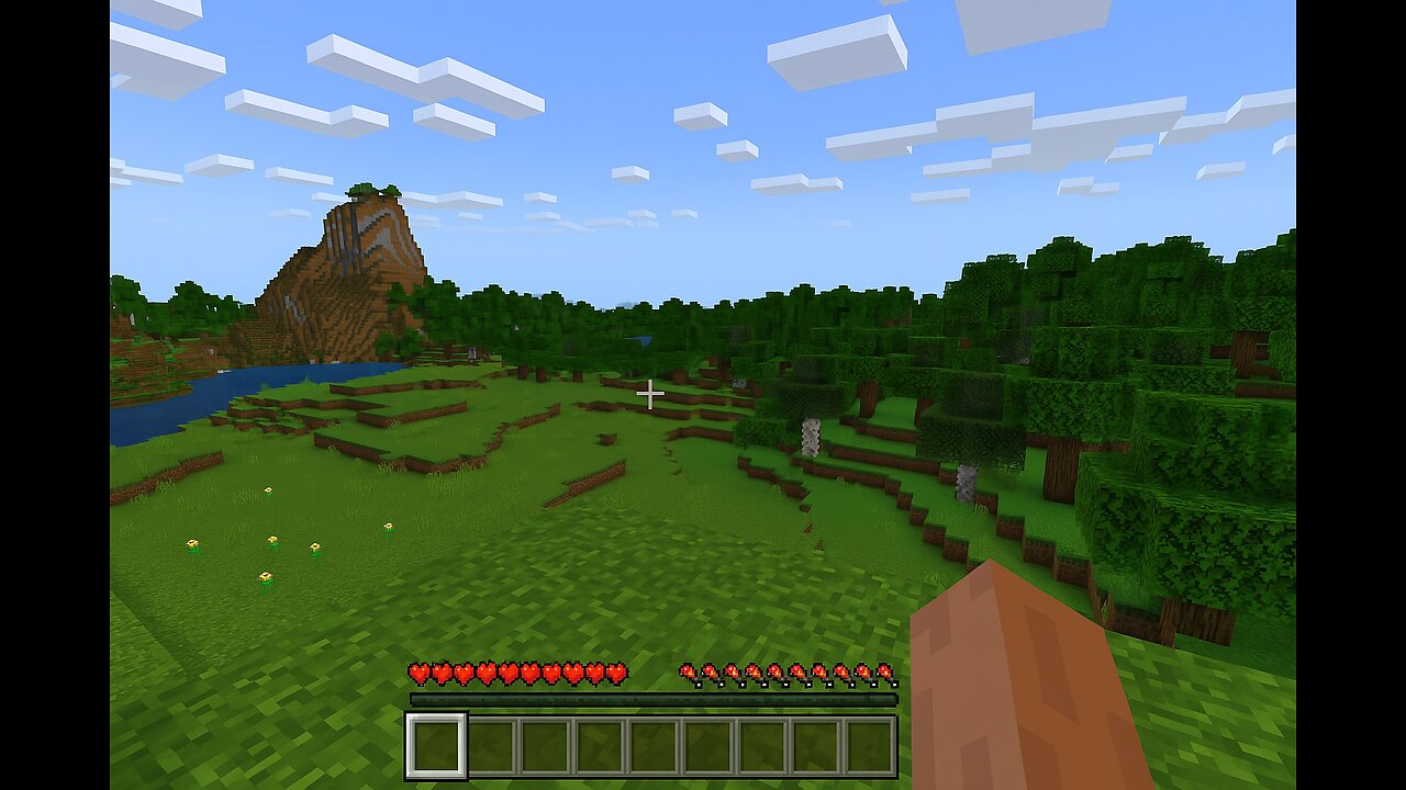 Minecraft
